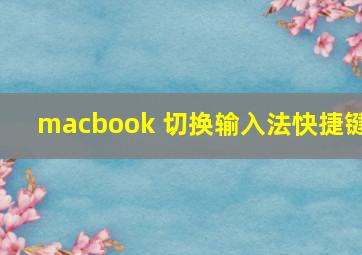 macbook 切换输入法快捷键